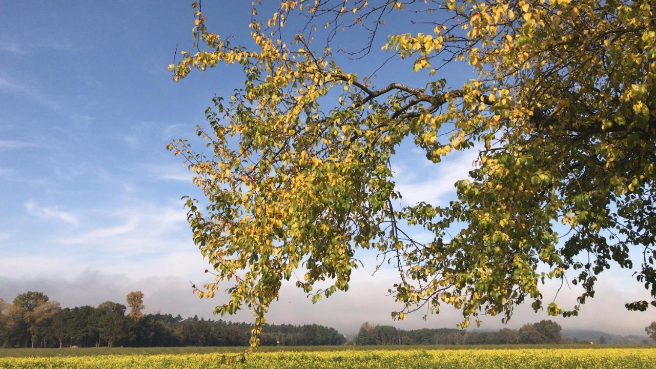 Ferienwohnung Im Herzen Der Holledau Poernbach ภายนอก รูปภาพ